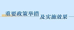 重要政策举措及实施效果
